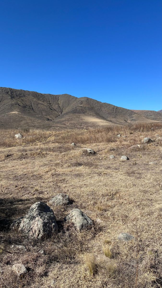 EN VENTA LOTES DE 4800 Y 5500 M2 EN EL RODEO, TAFI DEL VALLE — foto 4