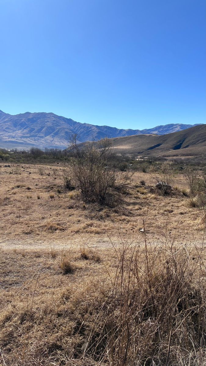 EN VENTA LOTES DE 4800 Y 5500 M2 EN EL RODEO, TAFI DEL VALLE — foto 5