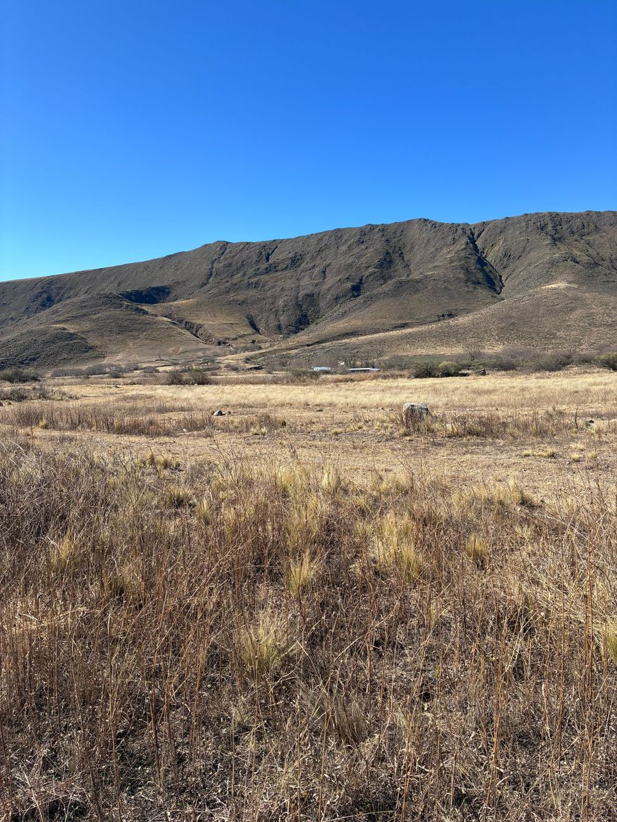 EN VENTA LOTES DE 4800 Y 5500 M2 EN EL RODEO, TAFI DEL VALLE — foto 6