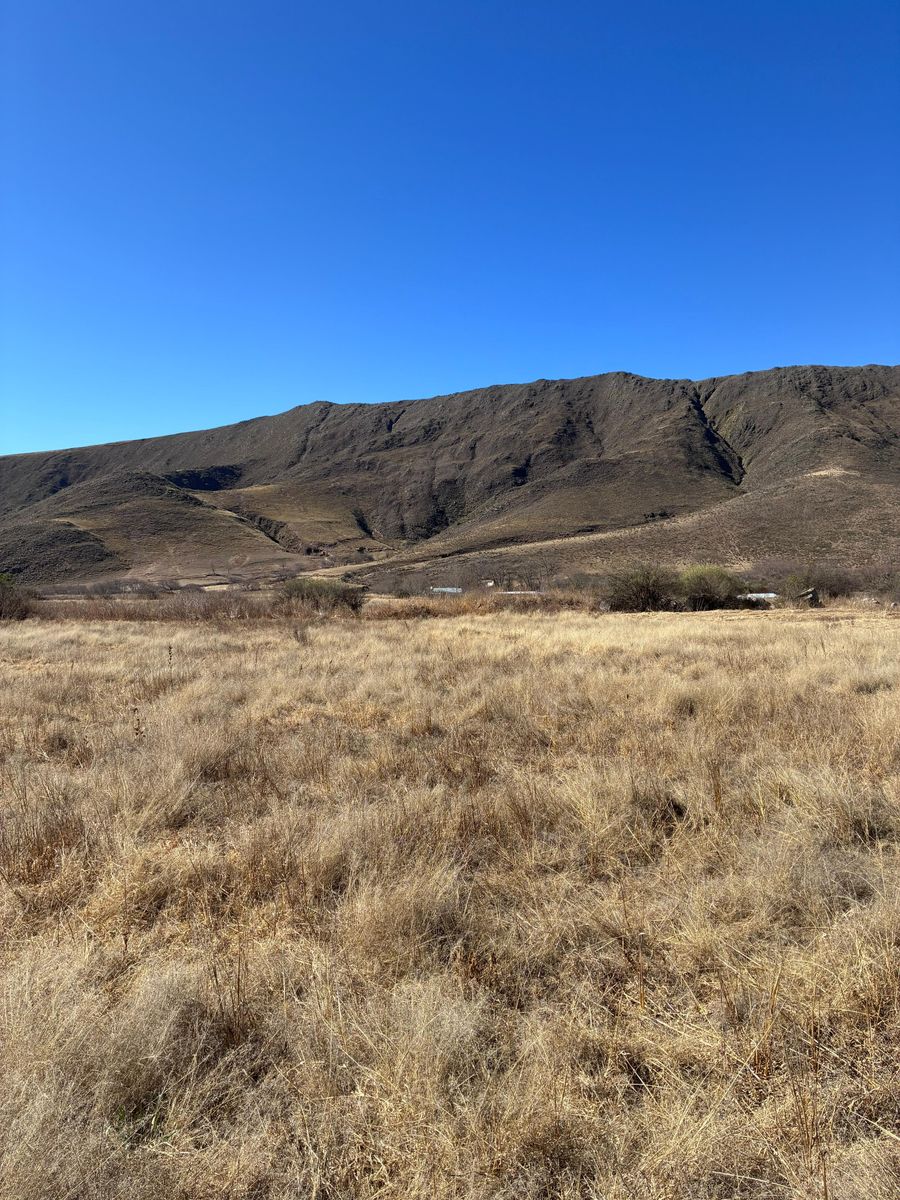 EN VENTA LOTES DE 4800 Y 5500 M2 EN EL RODEO, TAFI DEL VALLE — foto 7