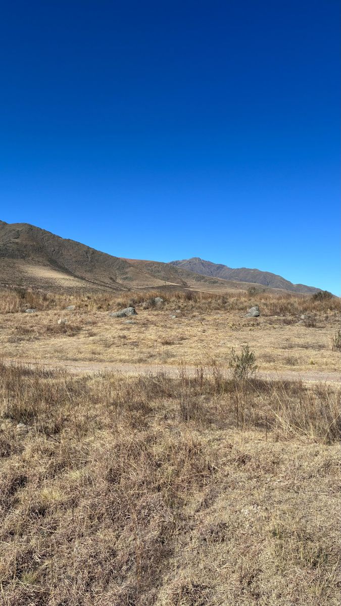 EN VENTA LOTES DE 4800 Y 5500 M2 EN EL RODEO, TAFI DEL VALLE — foto 10