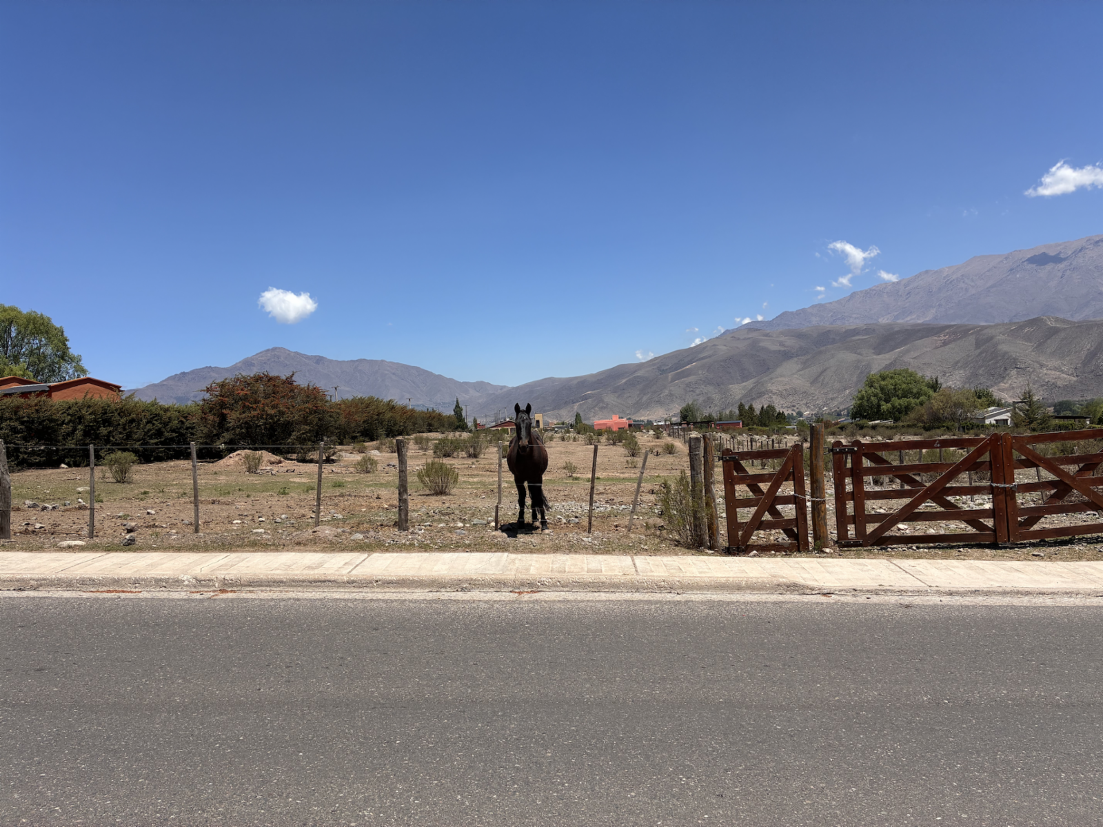 TERRENO EN VENTA CON EXCELENTES VISTAS EN TAFI DEL VALLE — foto 4