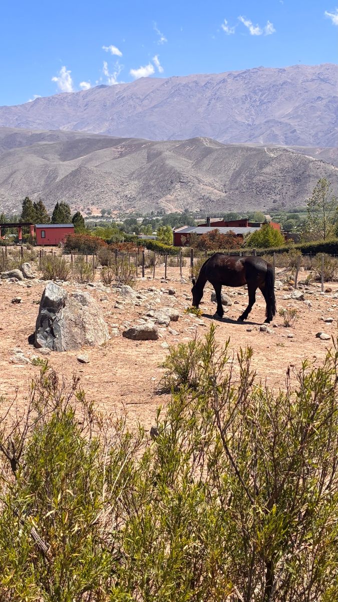 TERRENO EN VENTA CON EXCELENTES VISTAS EN TAFI DEL VALLE — foto 6