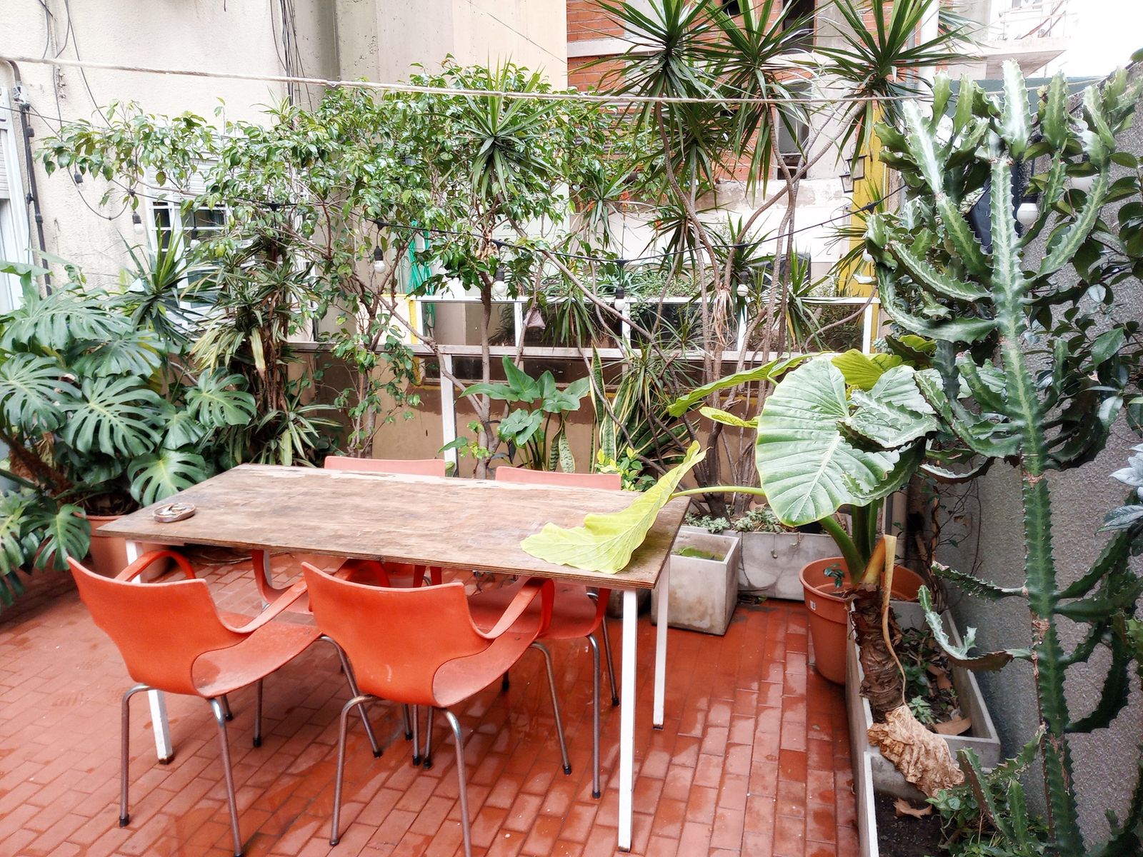 Hermoso 2 Ambientes APTO CREDITO con Patio Propio en Lo Mejor de Palermo Soho - Thames y Paraguay — foto 11