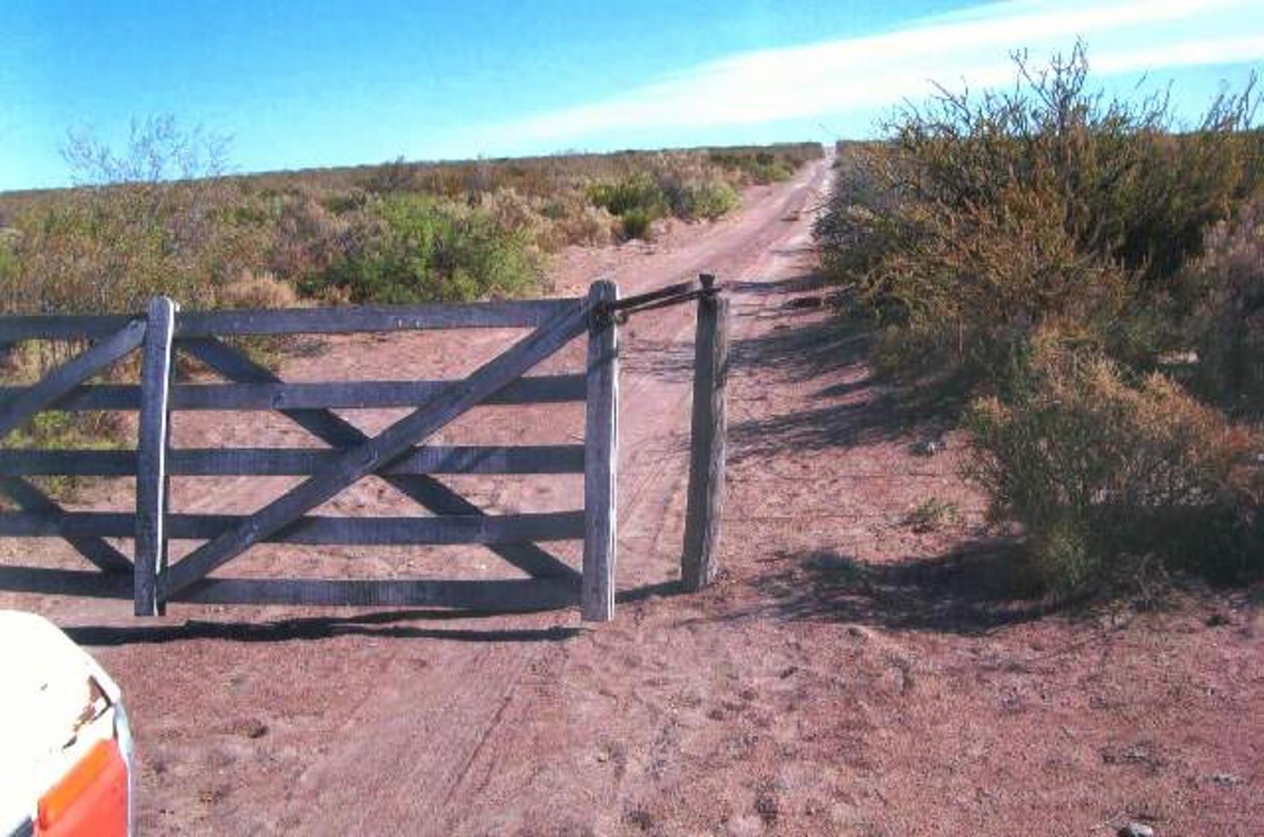 VENDO CAMPO DE 7300 HAS EN VALCHETA, RÍO NEGRO - 2