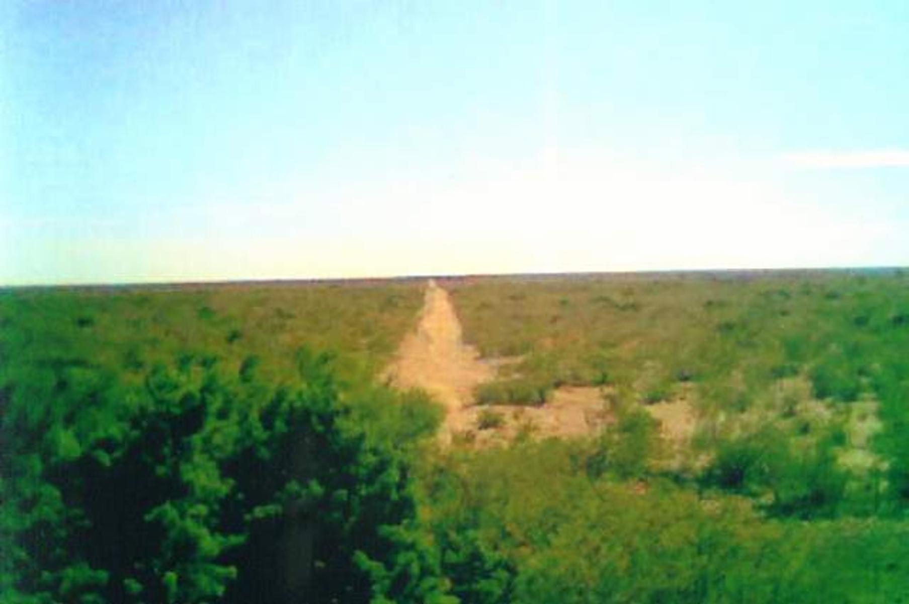 VENDO CAMPO DE 7300 HAS EN VALCHETA, RÍO NEGRO - 4