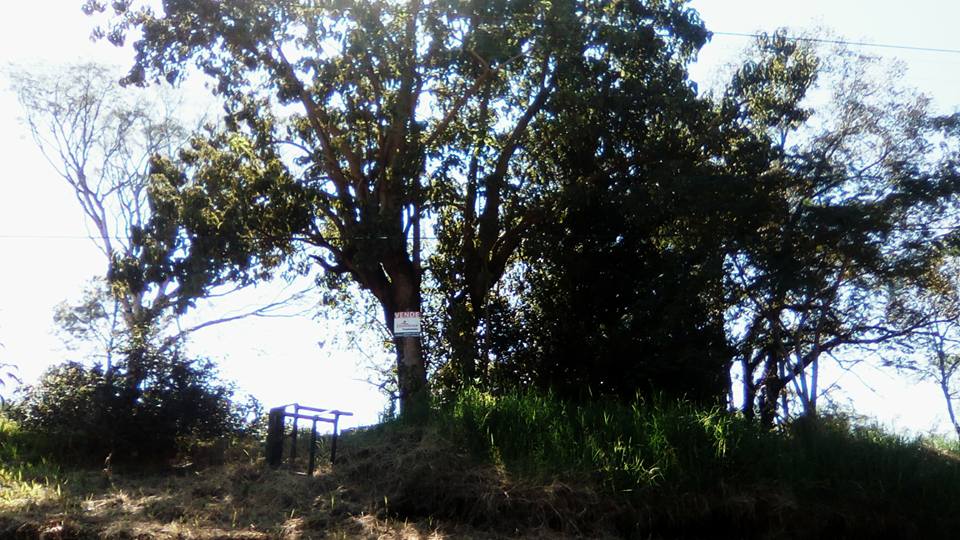 OPORTUNIDAD DE COMPRAR TU TERRENO - 1