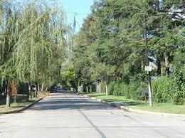 Lotes Urbanización Barrio Parque El Pato. Todos los servicios. — foto 4