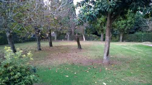 2 Lotes de 10x35, muy buena zona.