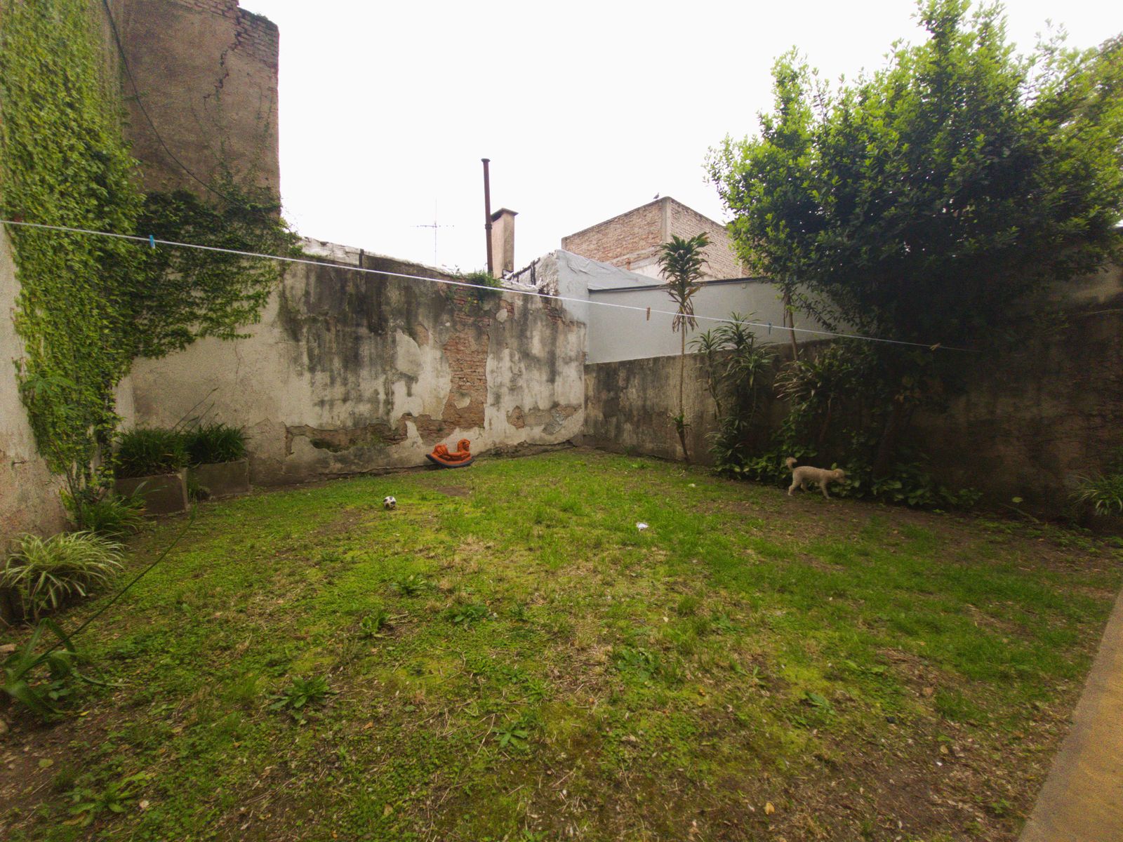 SE VENDE AMPLIO 3 AMBIENTES EN FLORES CON TERRAZA Y JARDÍN DE USO COMÚN - 1