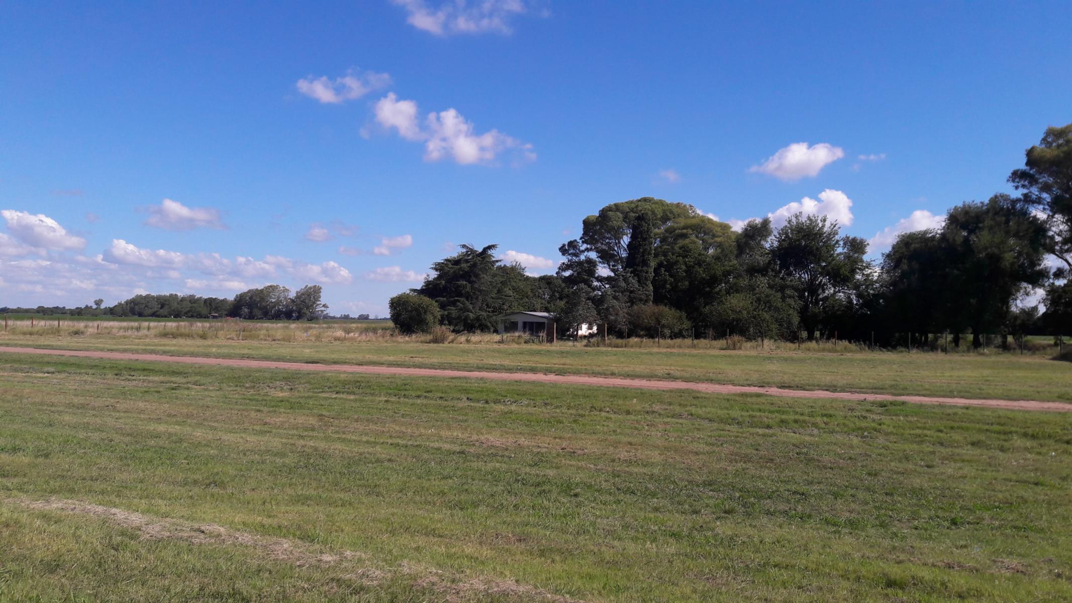 CAMPO EN VENTA DE 2.5 HA CON CASA - RUTA 9 - BARADERO - BS AS - 1