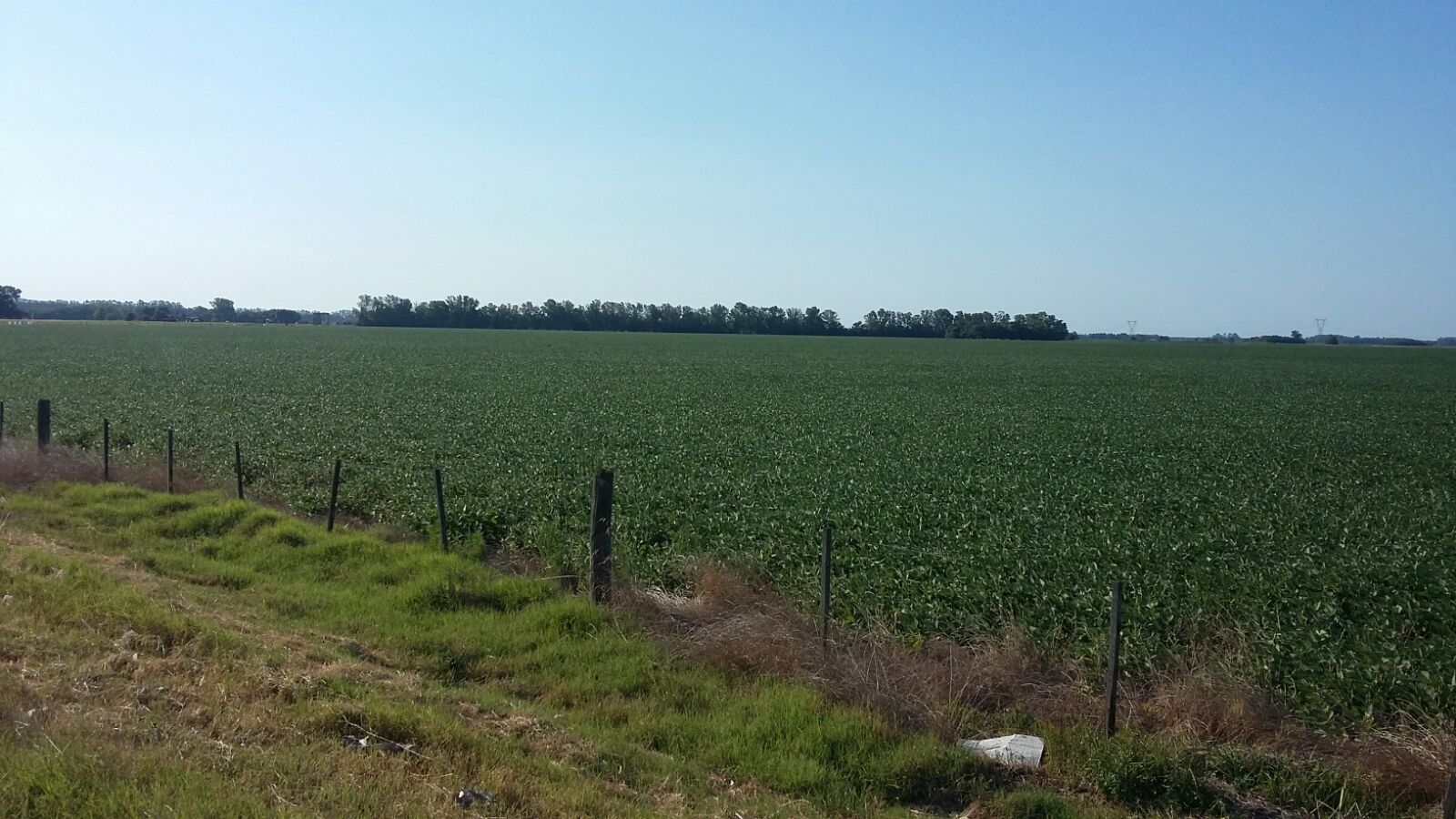 36 HA / 73 HA DE CAMPO EN VENTA - RUTA 9 - BARADERO - 100% AGRICOLAS. - 1