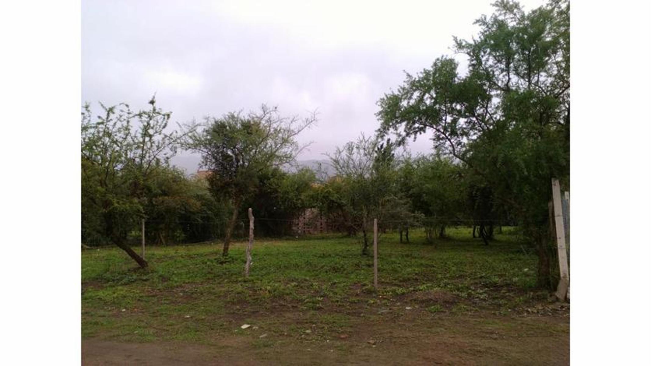 Espectacular lote céntrico con hermosas vistas y entorno único — foto 2