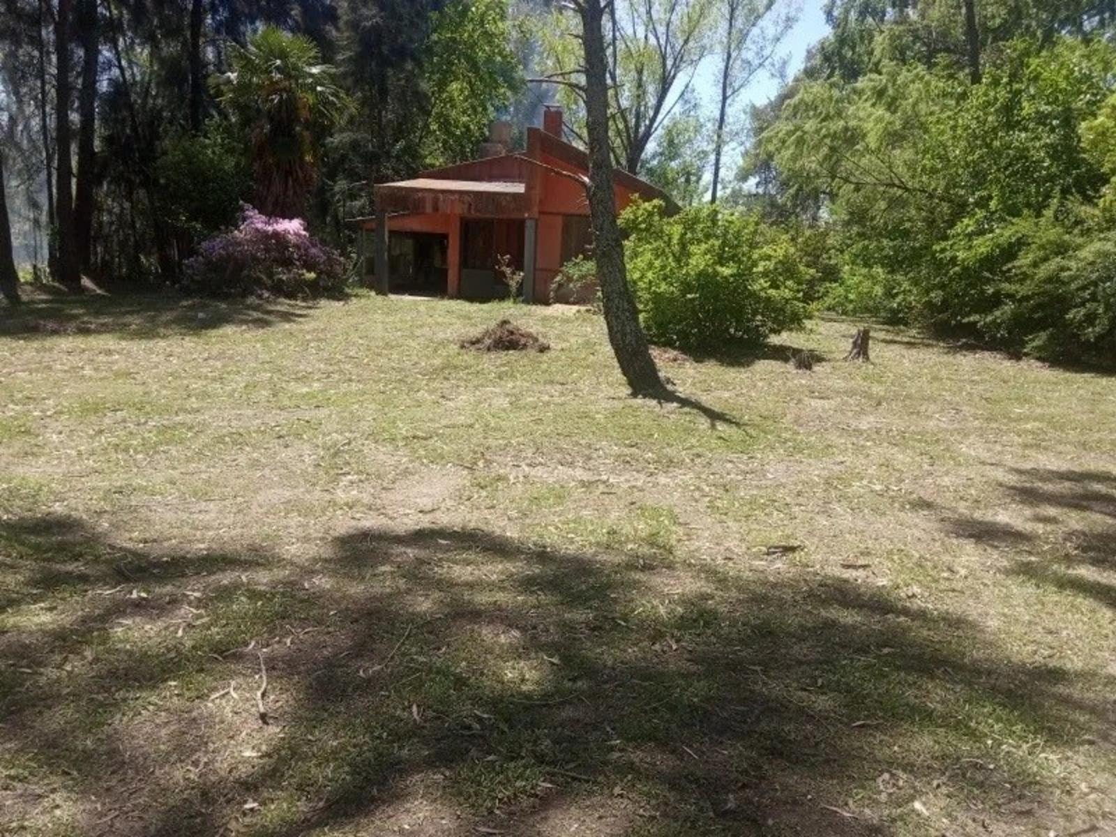 Se VENDE Quinta Sobre Rio Lujan y Canal Arias OPORTUNIDAD - 4