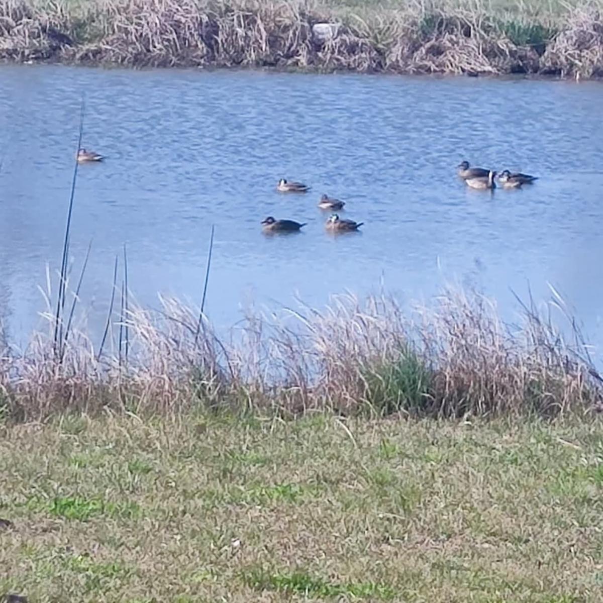 SE VENDEN DOS LOTES JUNTOS O SEPARADOS OPORTUNIDAD — foto 8