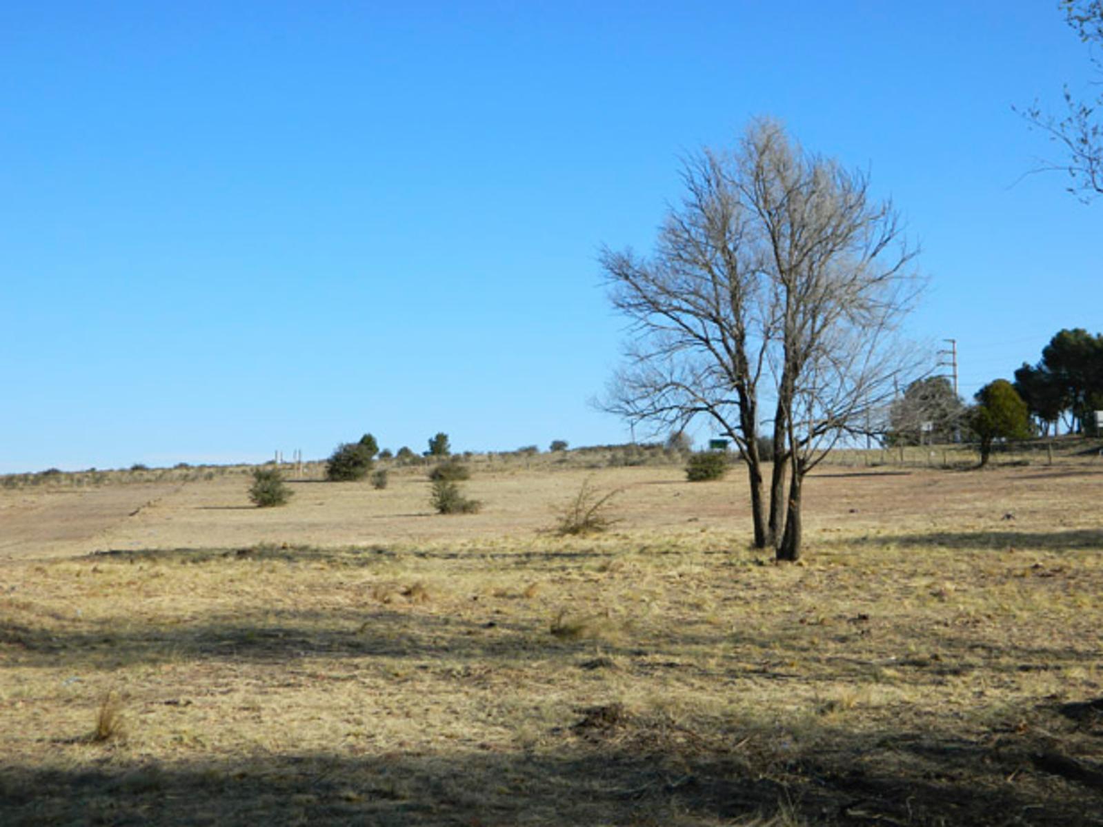 LOTEO “VILLA SAN BENITO” - LA CUMBRE. LOTEO UNICO Y EXCLUSIVO. NATURALEZA. GOLF. EXCLUSIVIDAD. LOTES CON ESCRITURA. ALUMBRADO. TODOS LOS SERVICIOS. FINANCIACION. — foto 5