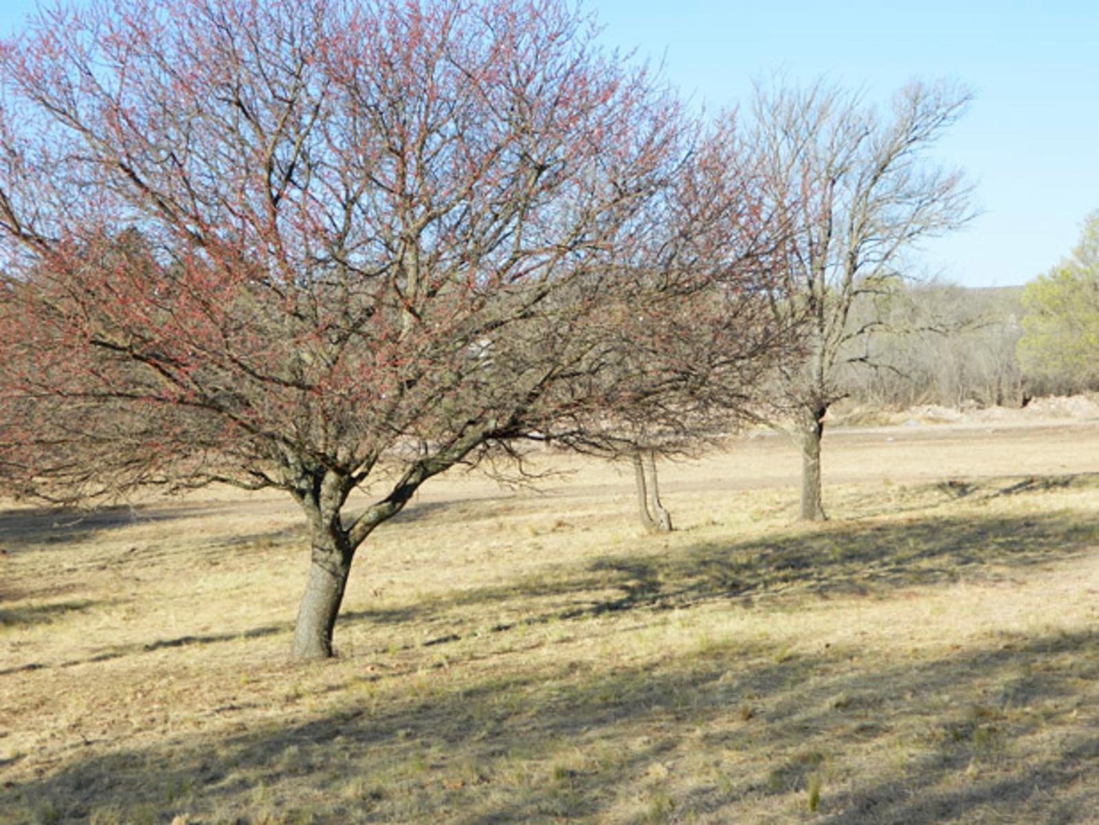 LOTEO “VILLA SAN BENITO” - LA CUMBRE. LOTEO UNICO Y EXCLUSIVO. NATURALEZA. GOLF. EXCLUSIVIDAD. LOTES CON ESCRITURA. ALUMBRADO. TODOS LOS SERVICIOS. FINANCIACION. — foto 9