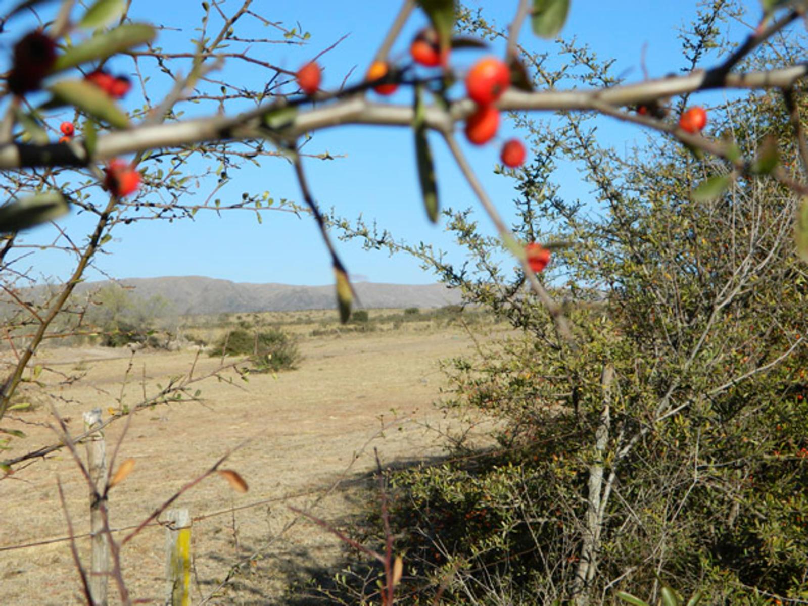 LOTEO “VILLA SAN BENITO” - LA CUMBRE. LOTEO UNICO Y EXCLUSIVO. NATURALEZA. GOLF. EXCLUSIVIDAD. LOTES CON ESCRITURA. ALUMBRADO. TODOS LOS SERVICIOS. FINANCIACION. — foto 13