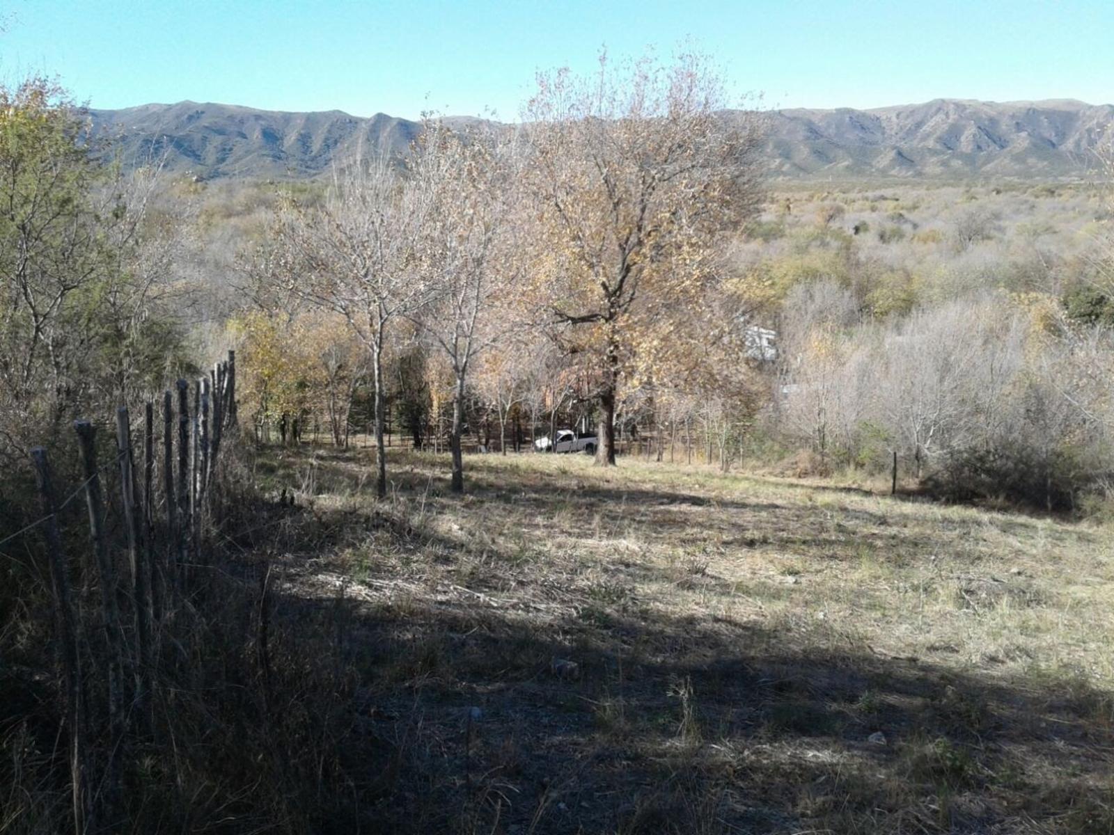 LOTEO EN MOLINARI - COSQUIN. TRANQUILIDAD. VISTA PANORÁMICA. NATURALEZA. LOTES CON ESCRITURA Y SERVICIOS — foto 5