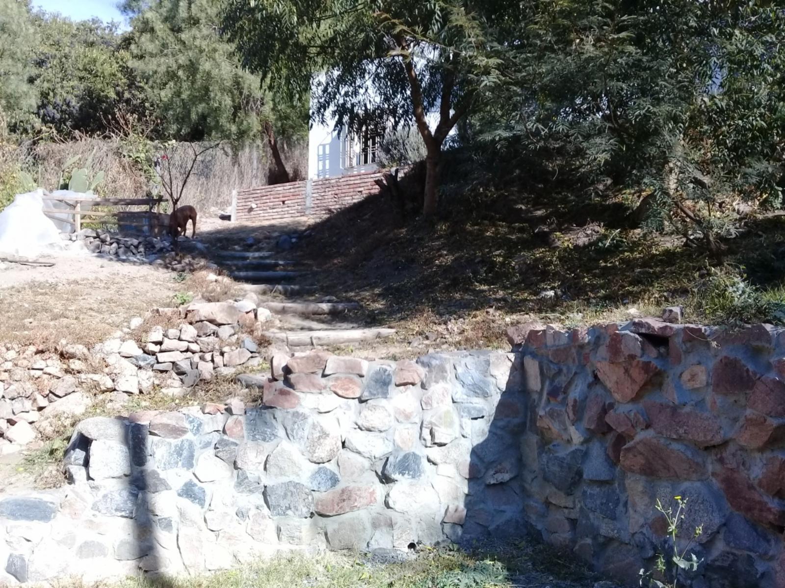 CASA DOS DORMITORIOS CON PATIO COCHERA Y ASADOR EN RIO CEBALLOS — foto 14