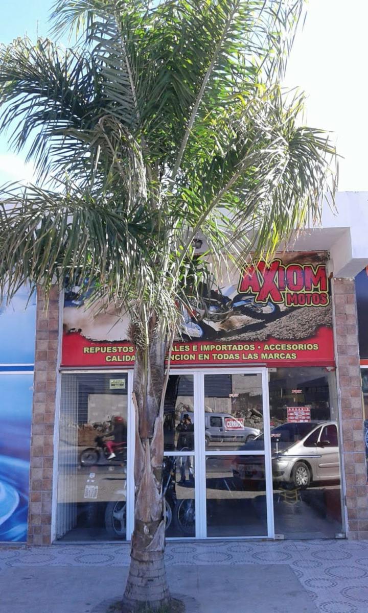 LOCALES COMERCIALES SOBRE AV. CARCANO - 2