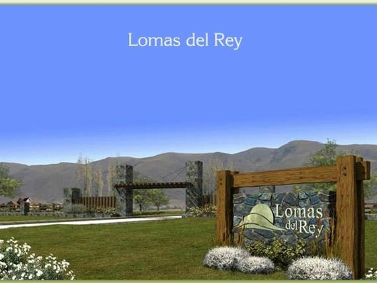 HERMOSO CHALET EN BARRIO CERRADO LOMAS DEL REY. 3 DORMITORIOS + 2 DEPTOS - PARQUE -PSICINA