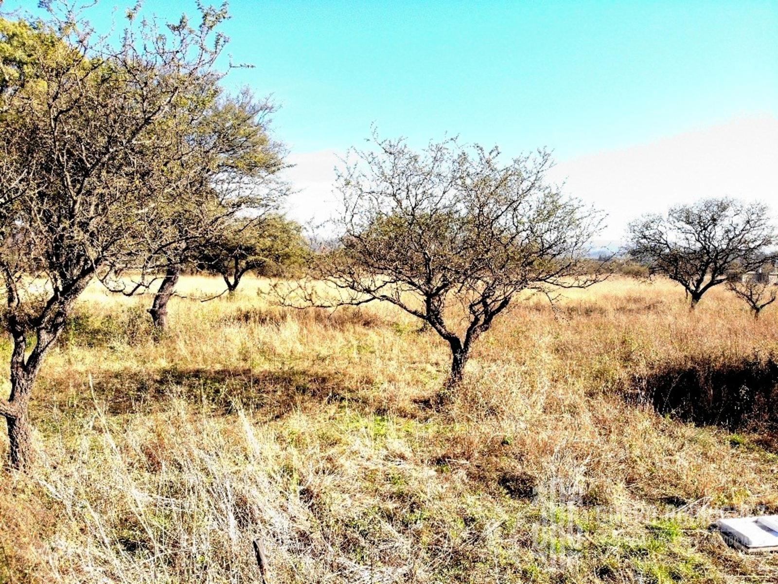 LOTEO EN ANISACATE A METROS DEL RIO ESCRITURA — foto 2