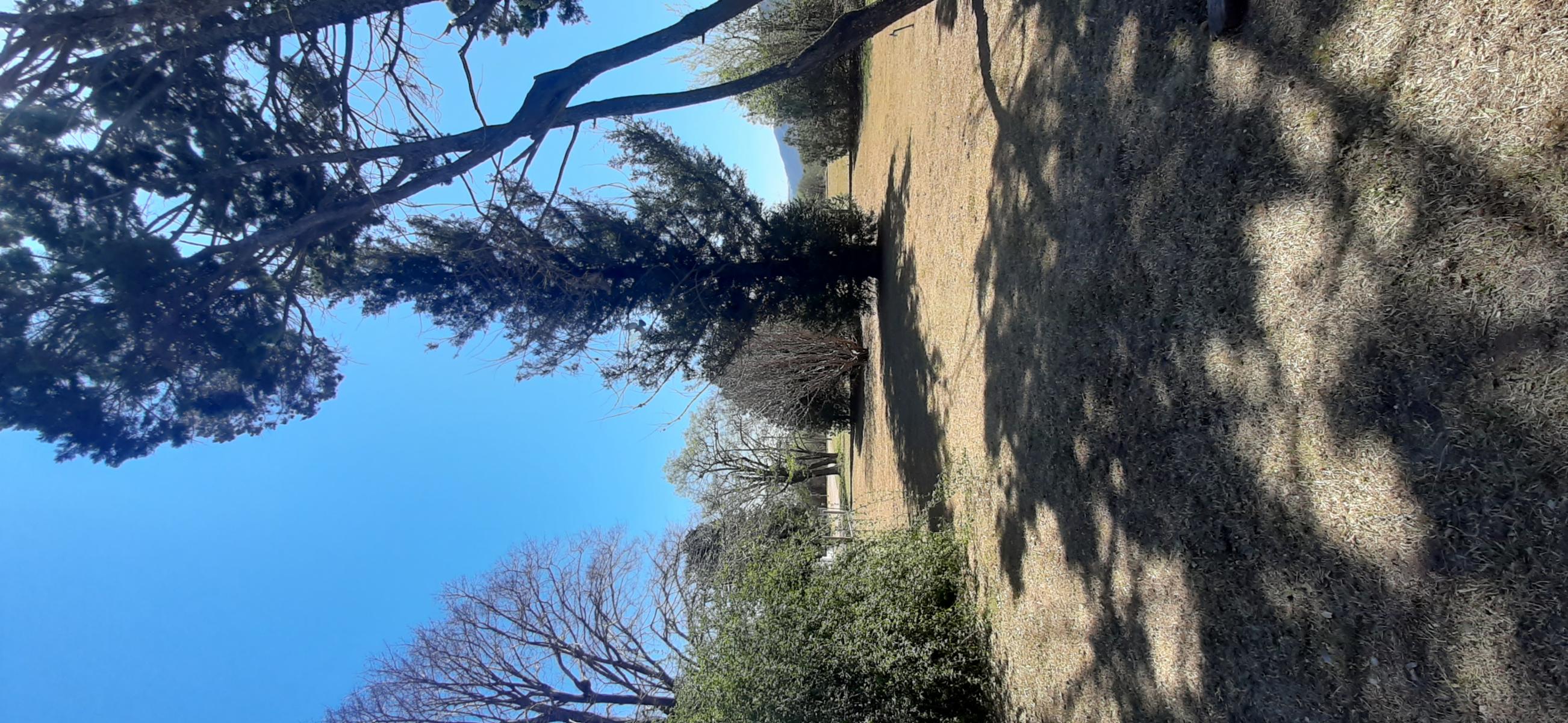 V83 - CASA 3 DORMITORIOS CON GRAN PARQUE Y PISCINA. — foto 3