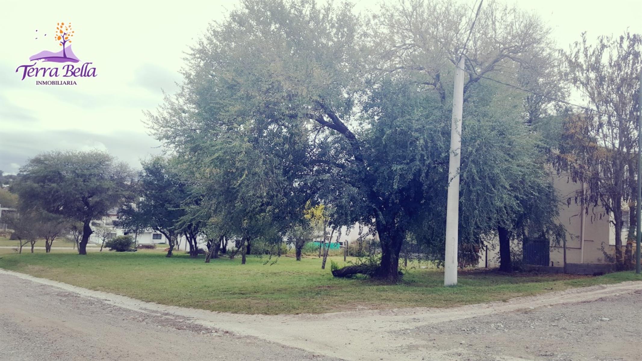 LOTES EN Bº PRIVADO EL DORADO II - SOBRE RUTA QUE UNE SAN ANTONIO DE ARREDONDO Y CARLOS PAZ - SEGURIDAD 24 HS - BAJADA PROPIA AL RIO - VISTA A LAS SIERRAS — foto 8