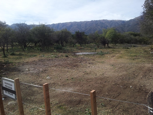 Cerro de Oro — foto 2