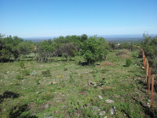 Cerro de Oro — foto 3