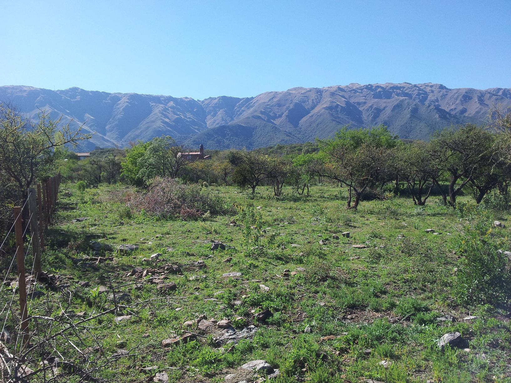 Cerro de Oro — foto 4