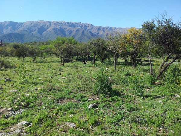 Cerro de Oro — foto 5