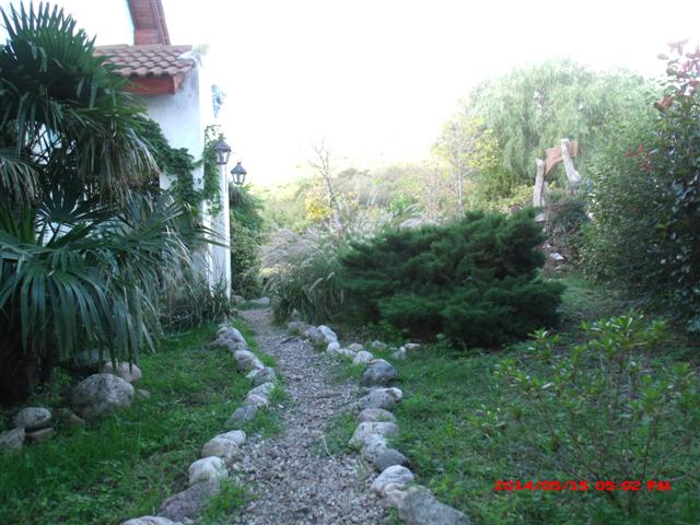 Casa y Local Comercial ( Casa de Te ) - 25