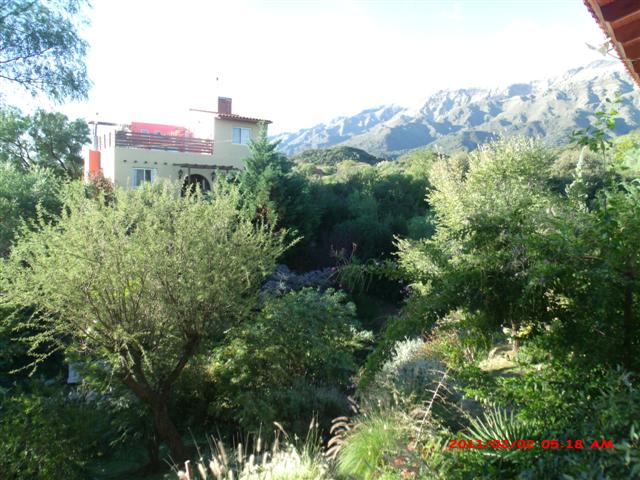 Casa y Local Comercial ( Casa de Te ) - 27