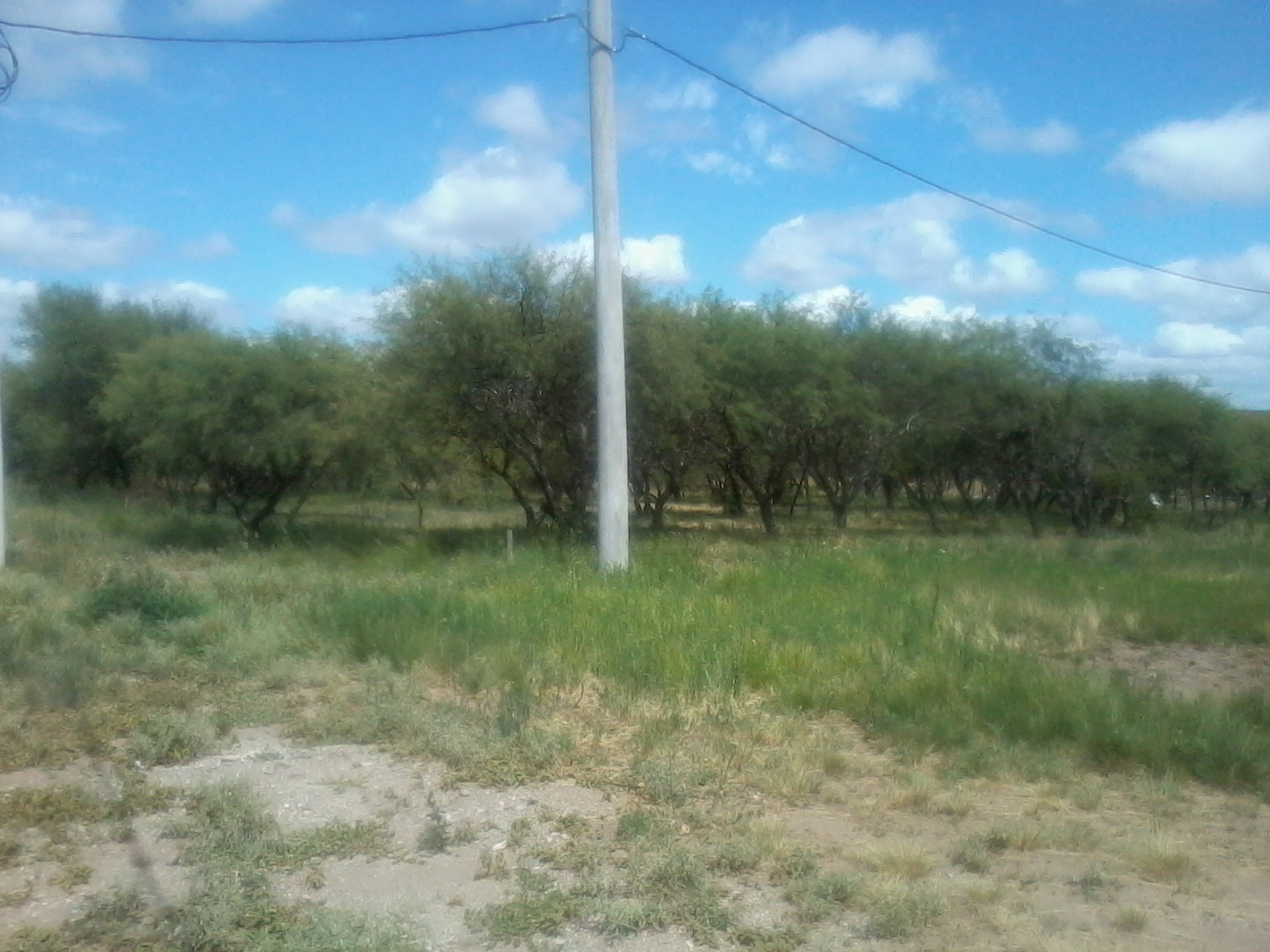 LOTES EN VENTA-MERLO — foto 4