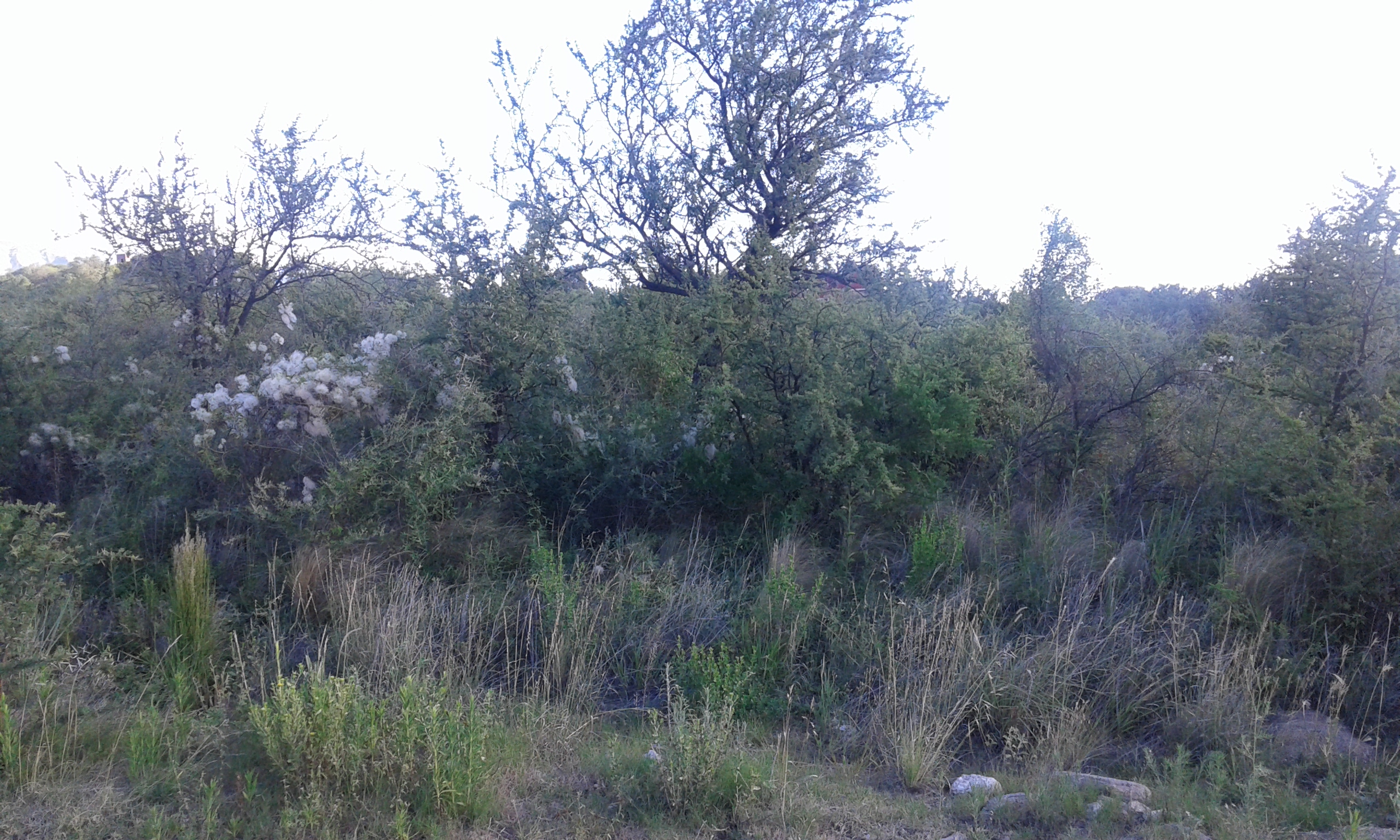 VENTA TERRENO — foto 3