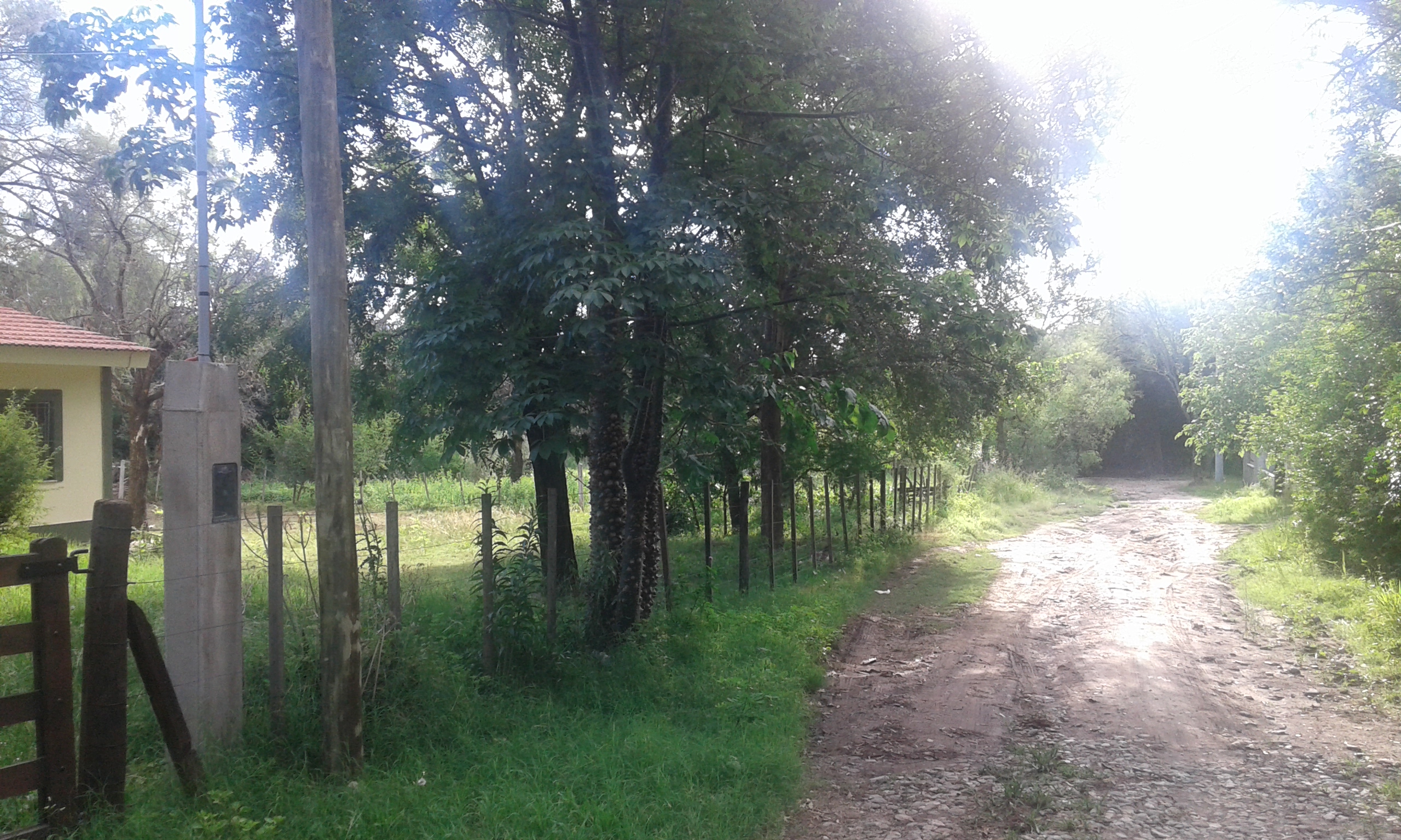 VENTA CASA Y FRACCIÓN DE TIERRA — foto 2