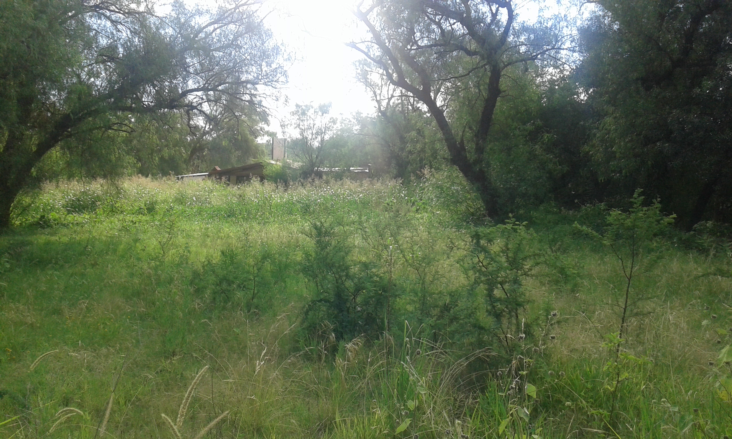 VENTA CASA Y FRACCIÓN DE TIERRA — foto 8
