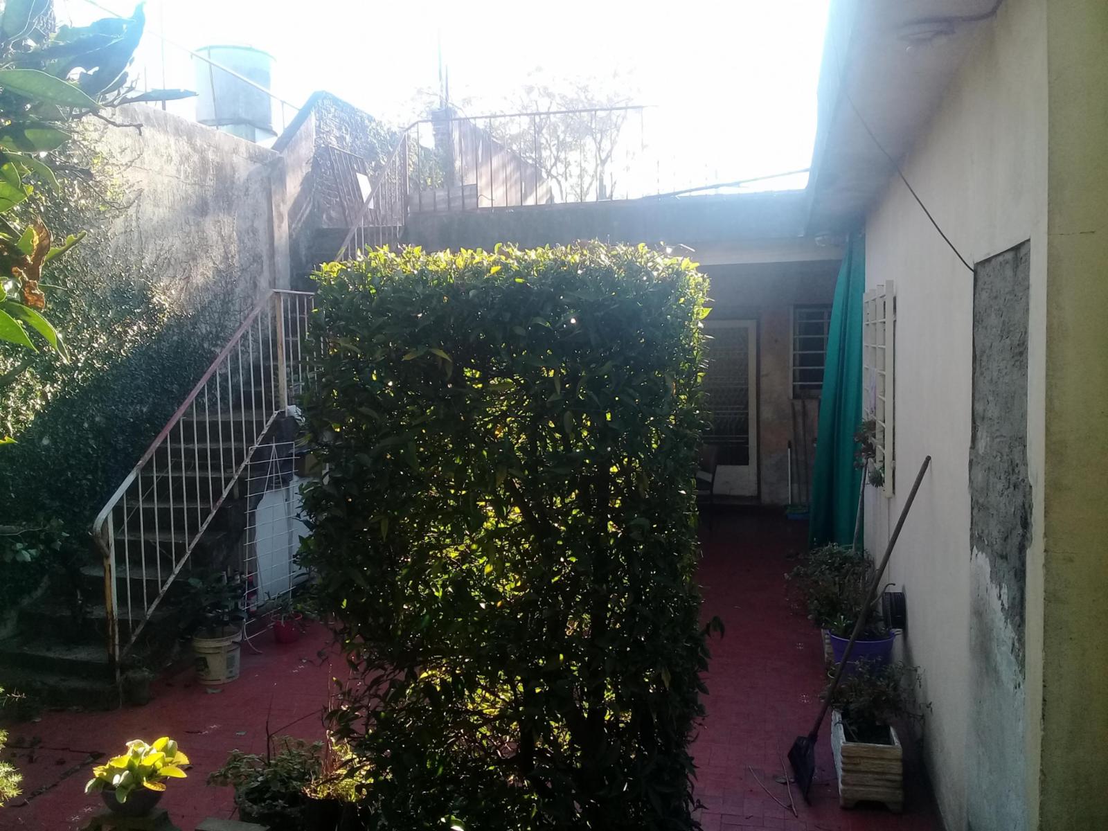 CASA LOTE PROPIO 8.66 X 43.3 — foto 4