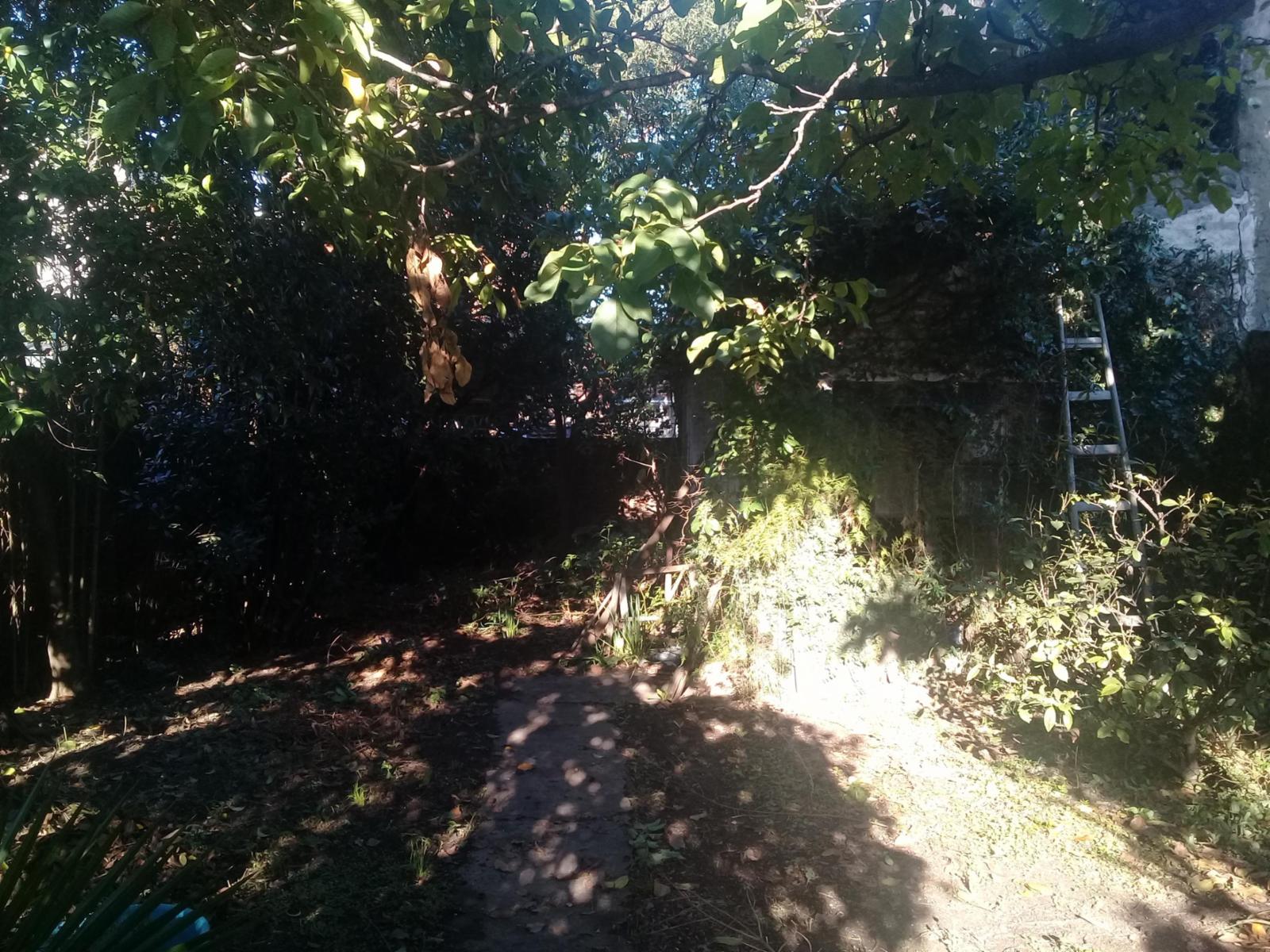 CASA LOTE PROPIO 8.66 X 43.3 — foto 6