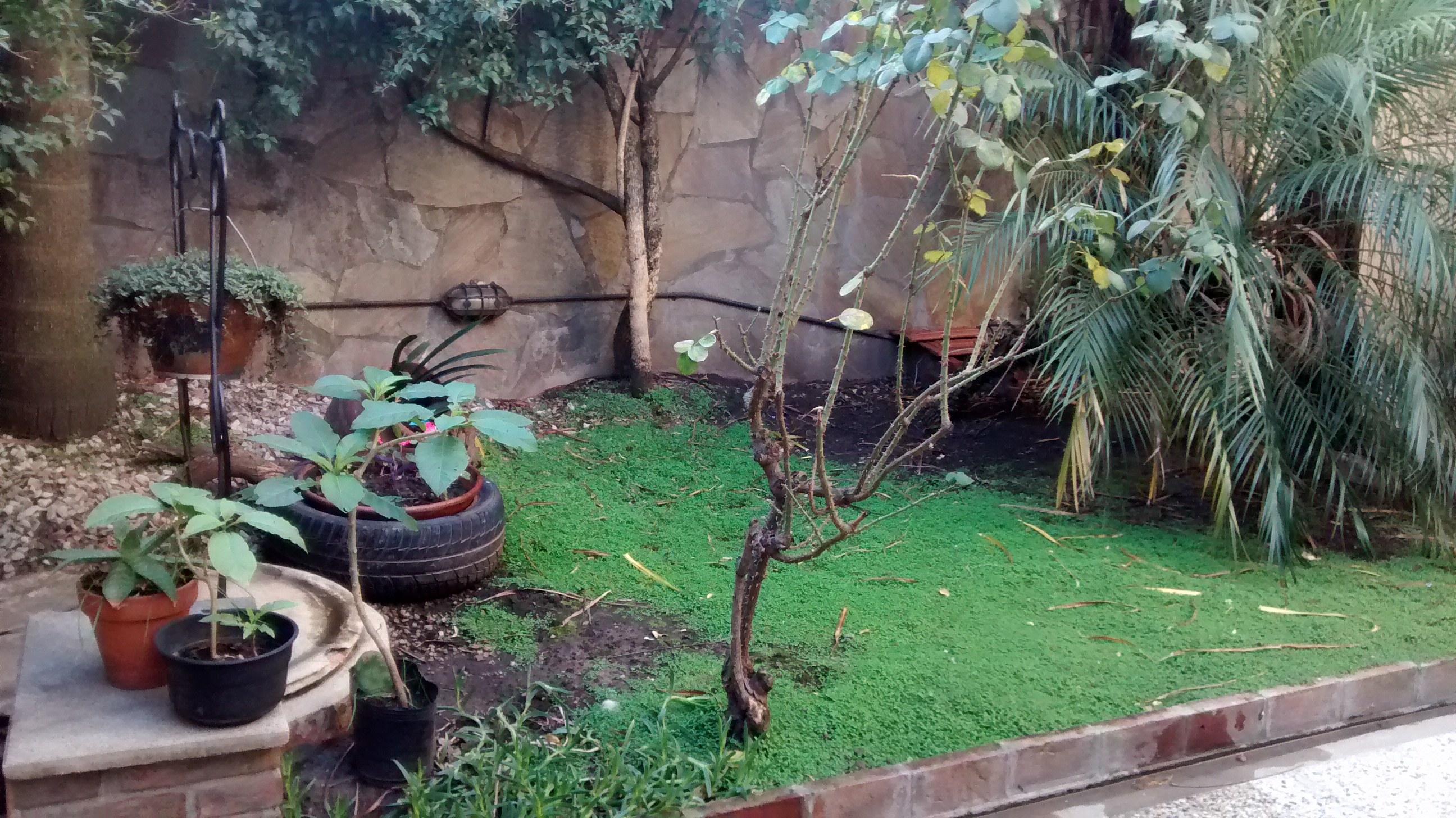 IMPORTANTE PROPIEDAD!! CASA CON BALCÓN AL FRENTE - EN 2 PLANTAS — foto 11