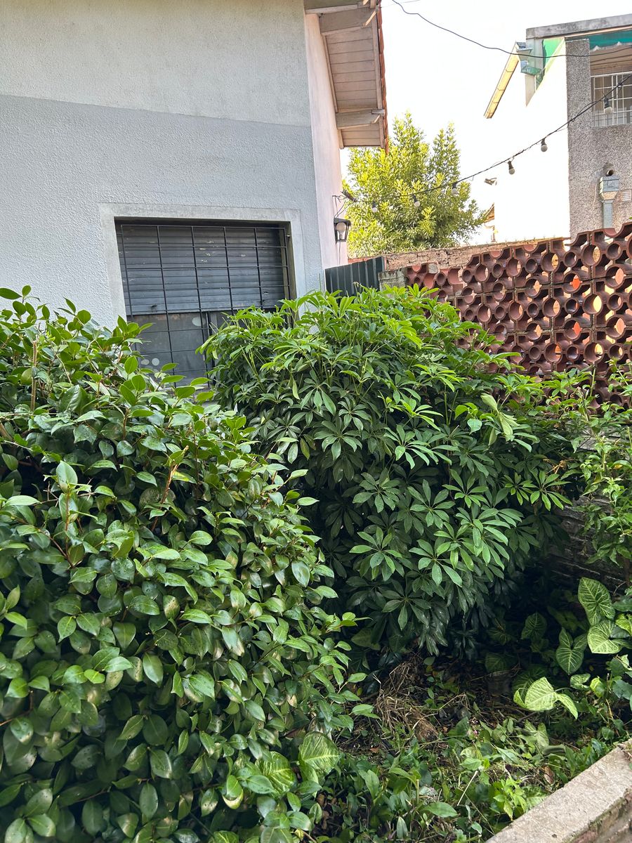 VENTA DE CHALET SOBRE LOTE PROPIO EN IMPORTANTE AVENIDA CIUDAD JARDIN — foto 4