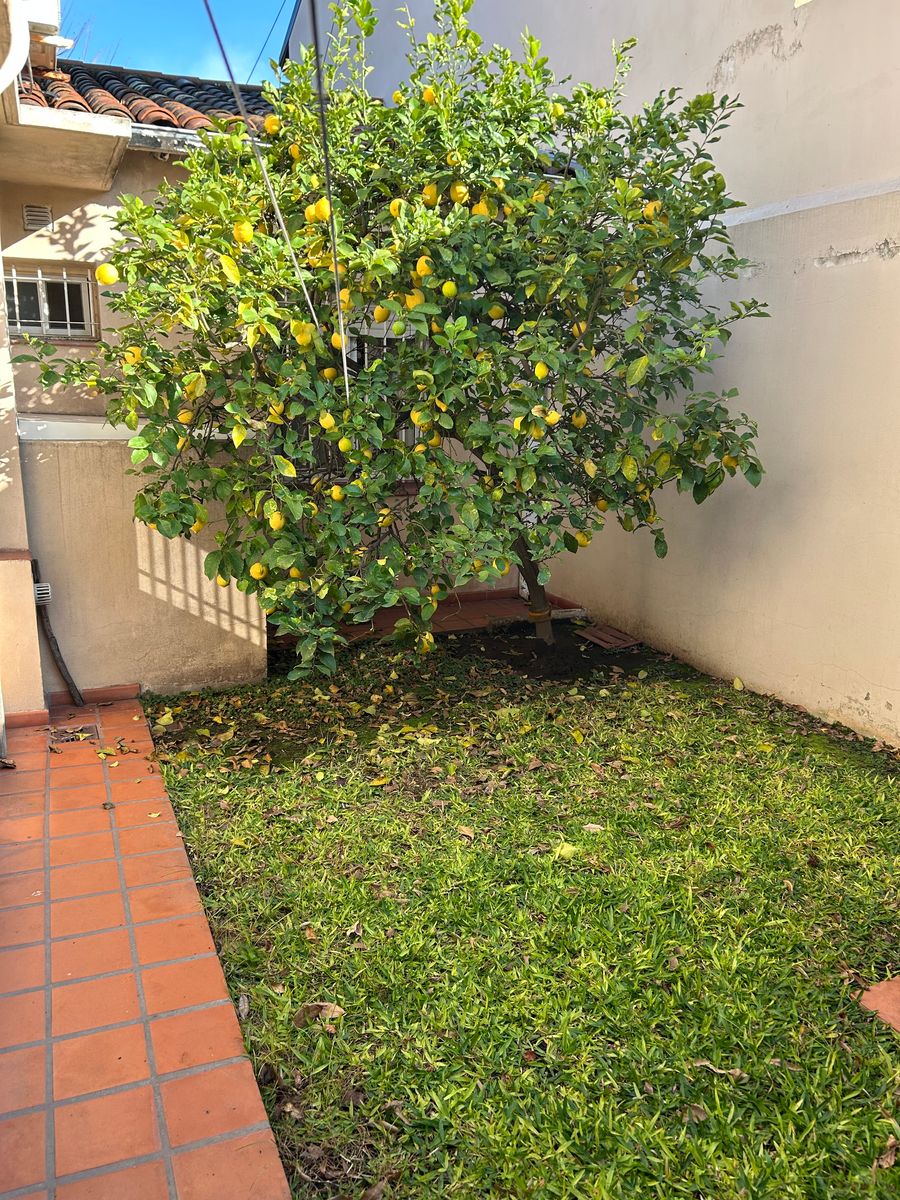 VENTA DE CHALET EN 2 PLANTAS EXCELENTE UBICACIÓN Y ESTADO. CIUDAD JARDÍN — foto 15