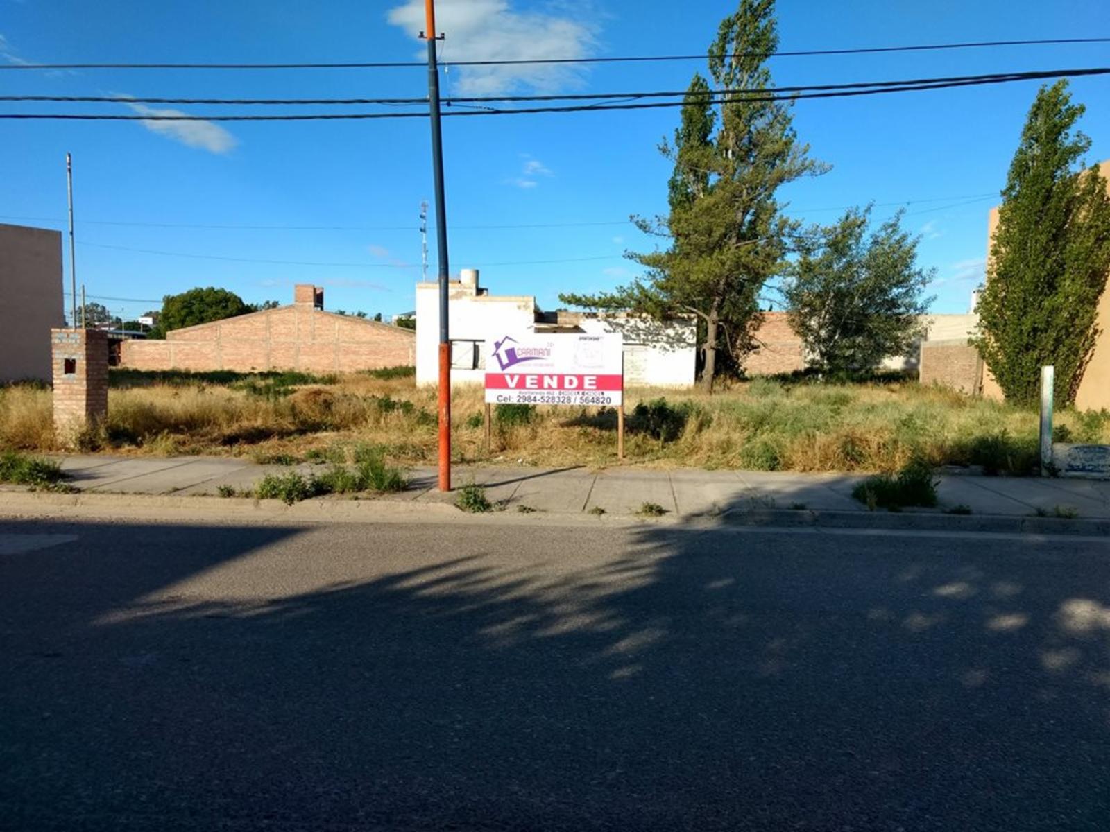 Vende 5 EXCEPCIONALES lotes, 3 sobre calle Avellaneda al 200 y 2 sobre calle Vinet, en bloque o por separados. Todos de 12,50 mts de frente. — foto 2