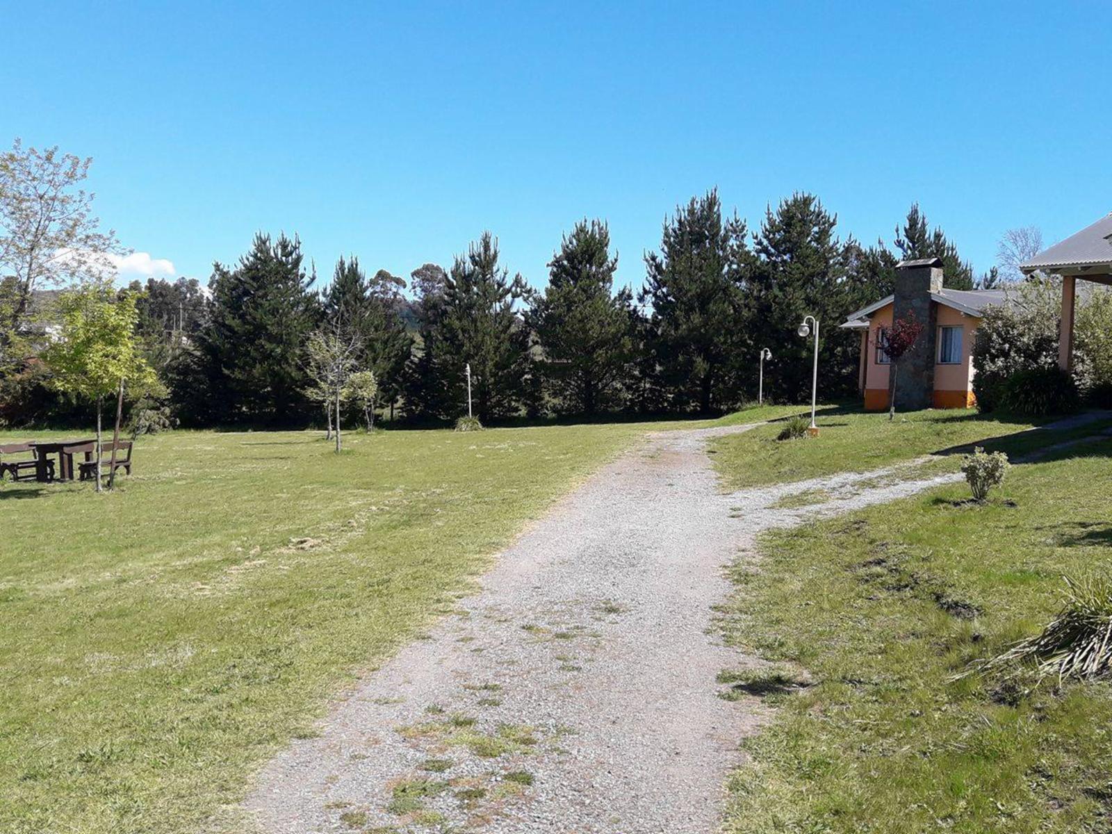 COMPLEJO DE CABAÑAS. - 5