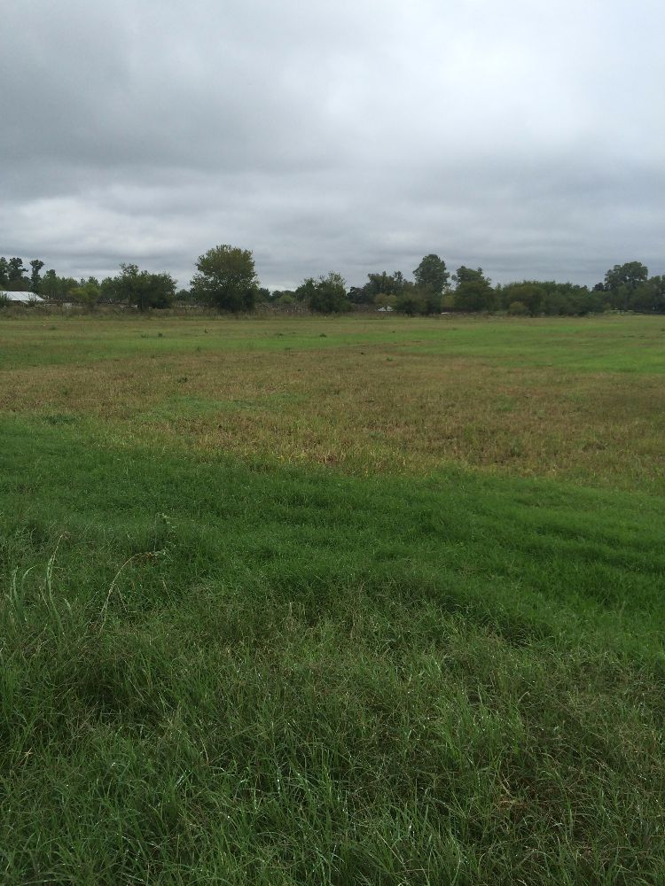Lote de Terreno de 12 hectáreas - Excelente ubicación!!!! - 2