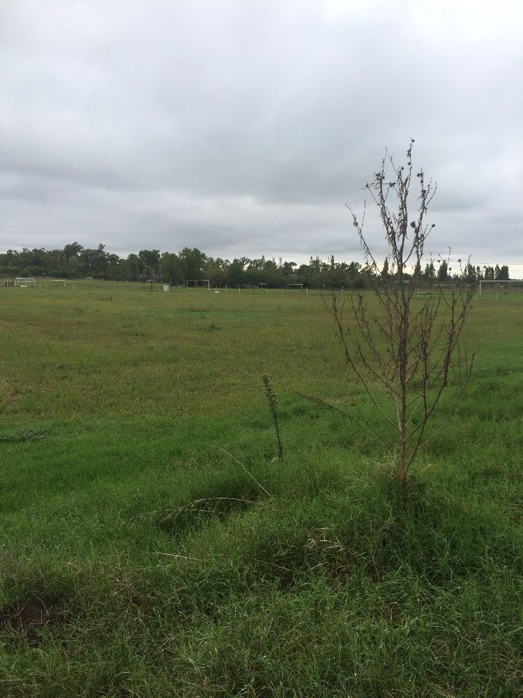 Lote de Terreno de 12 hectáreas - Excelente ubicación!!!! - 4