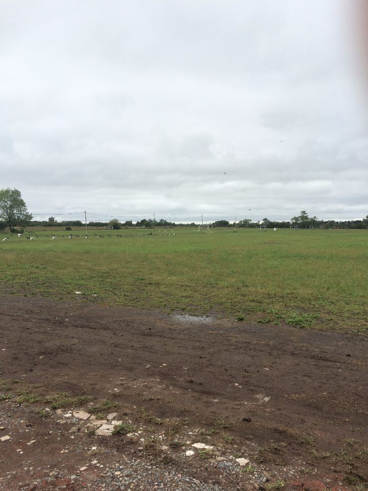 Lote de Terreno de 12 hectáreas - Excelente ubicación!!!! - 7