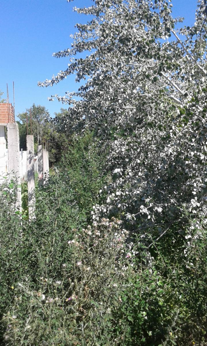 Excepcional Lote a metros de Las Toscas Canning!!!! — foto 2